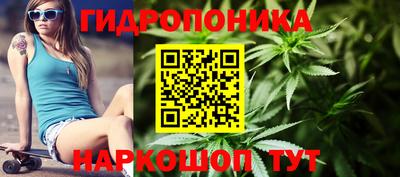ешки Донецк